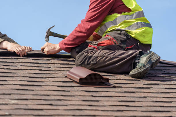 Best Roof Gutter Cleaning  in Kingston, TN