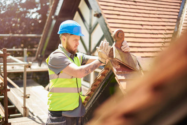 Best Roof Leak Repair  in Kingston, TN
